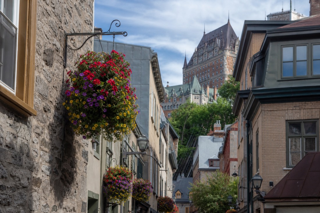 Petit Champlain street in Quebec City busy with summer visitors under hanging flower baskets